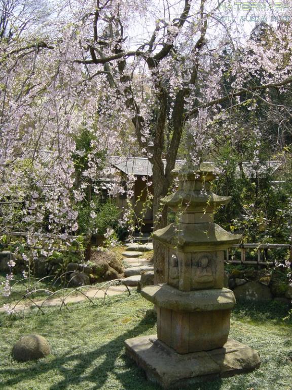 Kamakura - Engaku-ji - 003