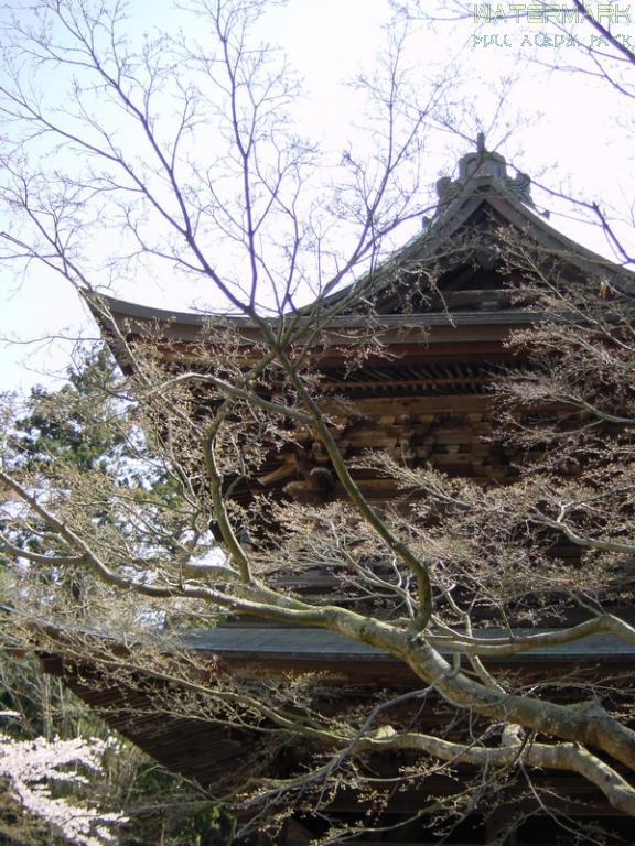 Kamakura - Engaku-ji - 004