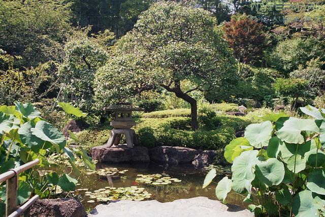 kamakura - 001