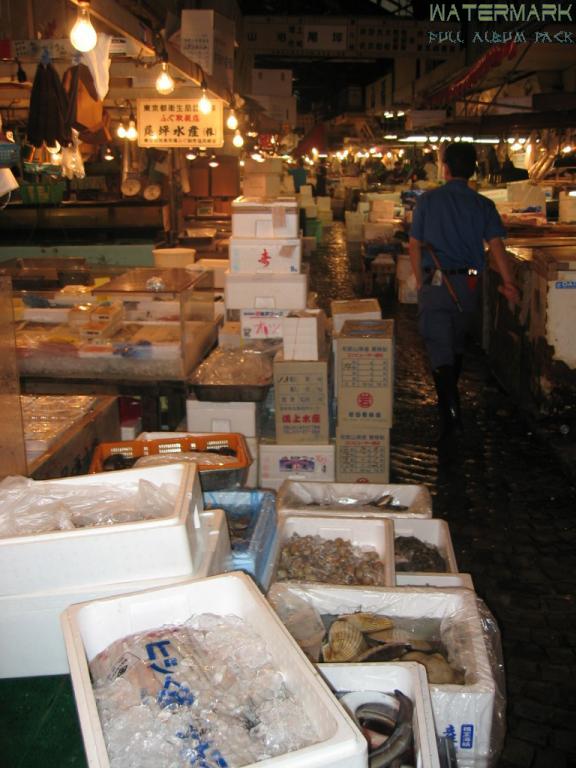 Tsukiji - 005