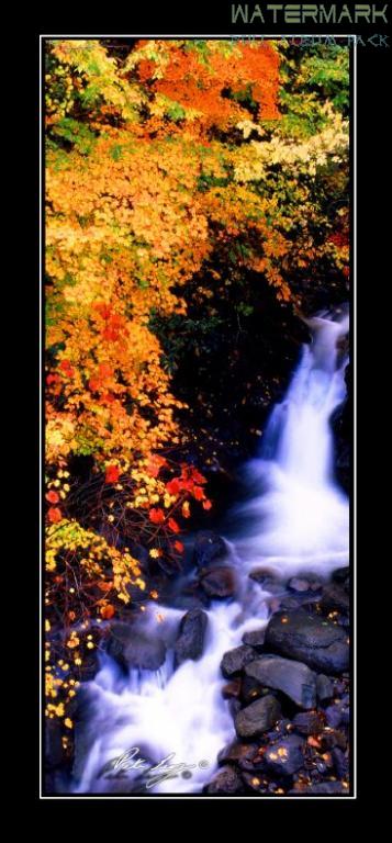 Autumn in Fukushima