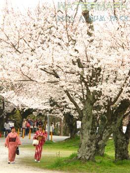 Arashiyama - 002