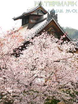 Arashiyama - 010