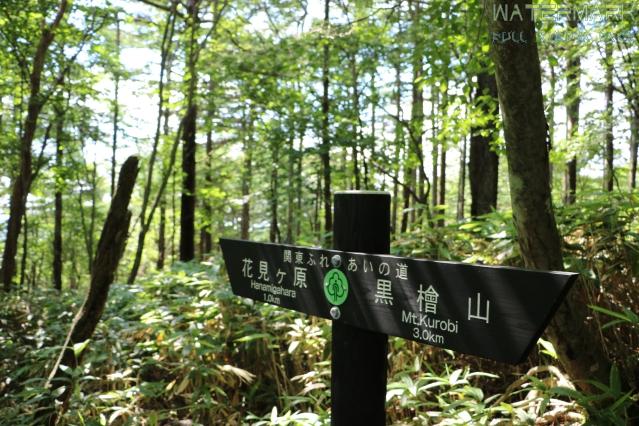 Camping & Climbing Mt. Kurobi (Gunma-ken) [E] - 012