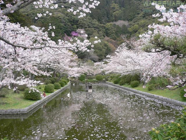 Iwakuni - 006