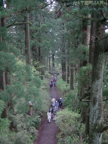 Hakone - 4