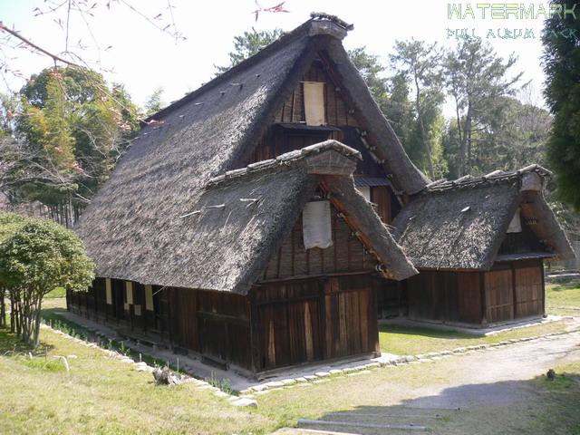 Osaka Ryokuchi Koen - 002