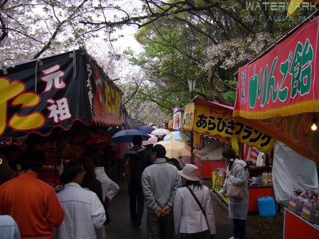 Osaka Sakuranomiya - 006