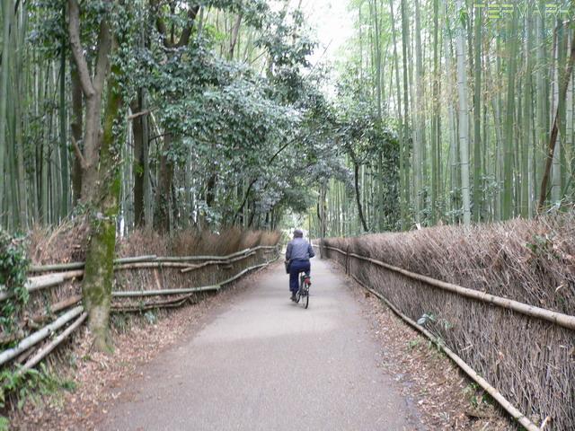 Kyoto - Arashiyama - 006