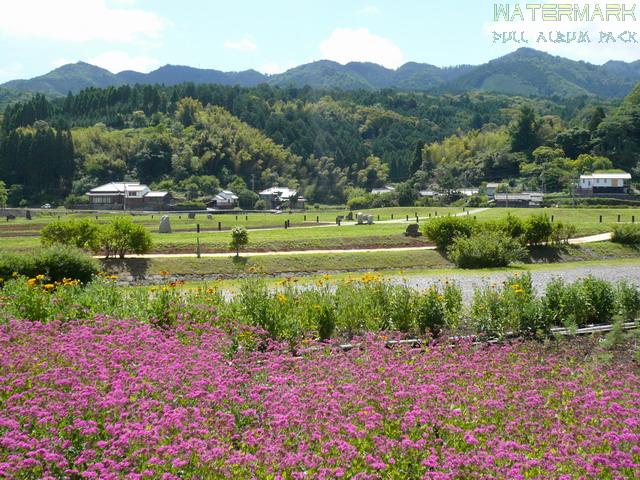 Usuki - 001 Usuki - 001