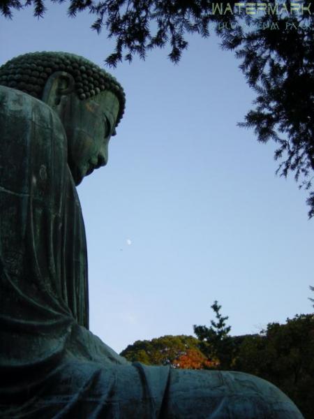 Kamakura - Daibutsu - 001