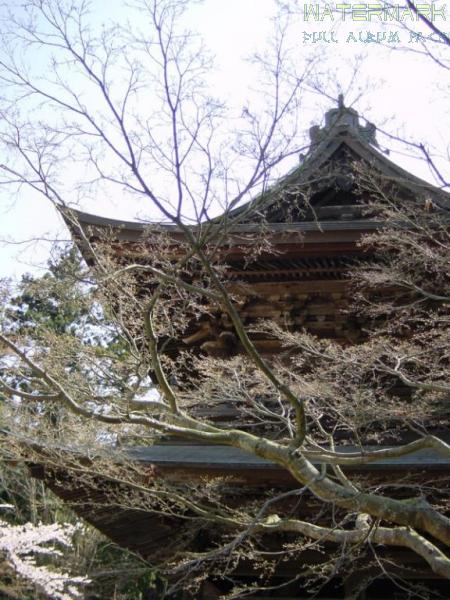 Kamakura - Engaku-ji - 004