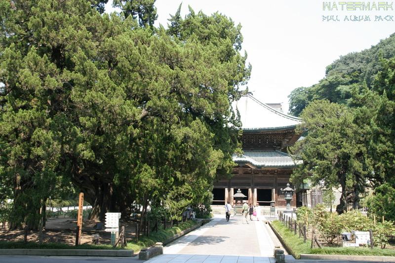 Kamakura - Kencho Ji - 008