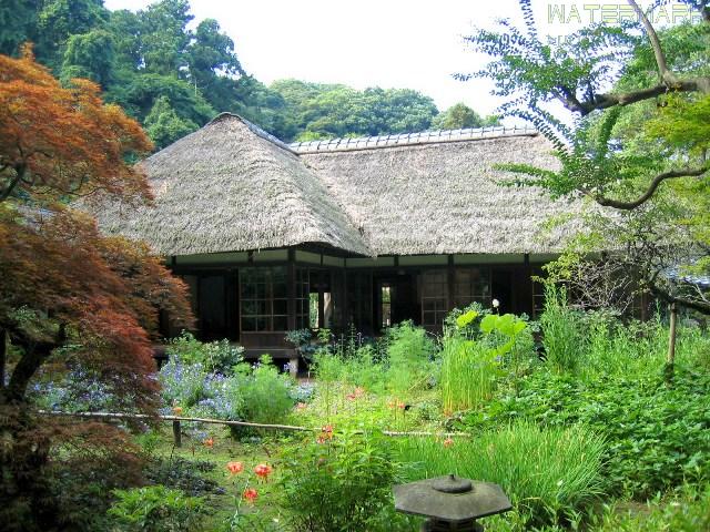 Kamakura - 002