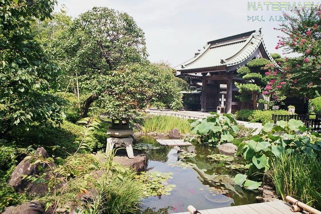 kamakura - 005