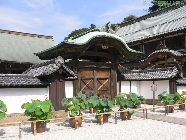 kamakura - 004