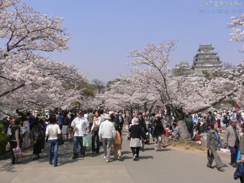 Himeji - 002