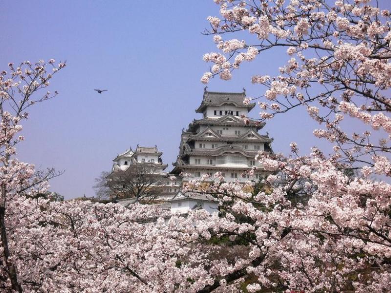 Himeji - 005