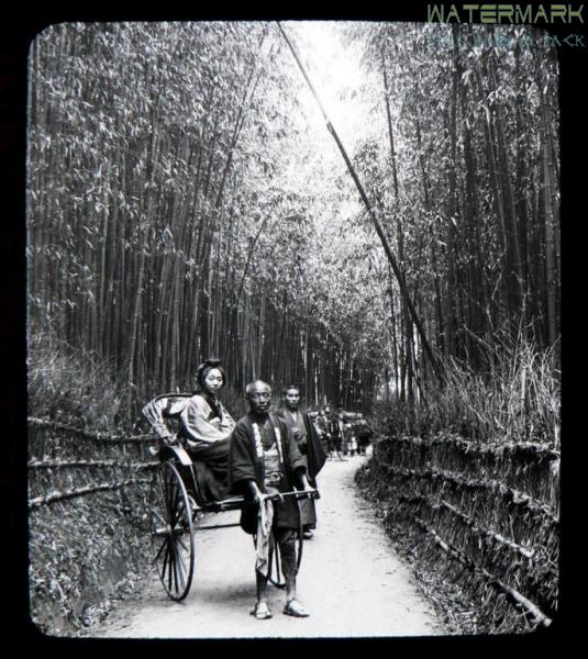 T. Enami - Kyoto - Bamboo Alley