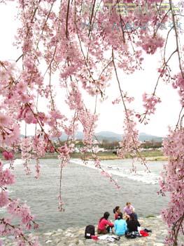 Arashiyama - 001