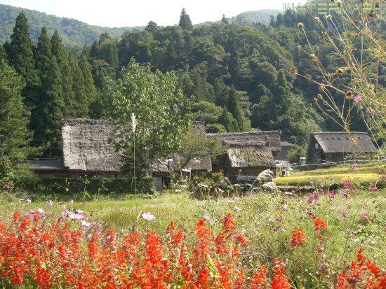 Shirakawa-Go - 006