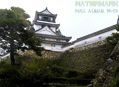 Kochi Castle