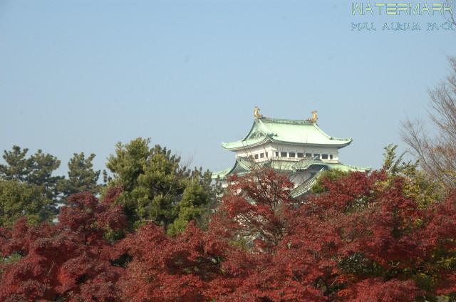 Chateau de Nagoya