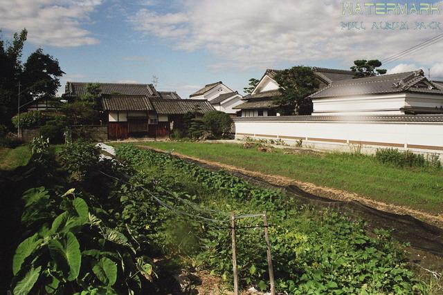 Nara-Yakushi ji - 004