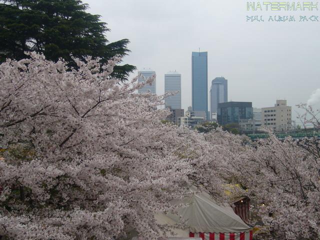 Osaka Sakuranomiya - 001